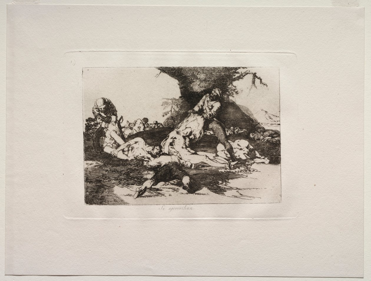 The Horrors of War: De gjør bruk av dem. av Francisco de Goya