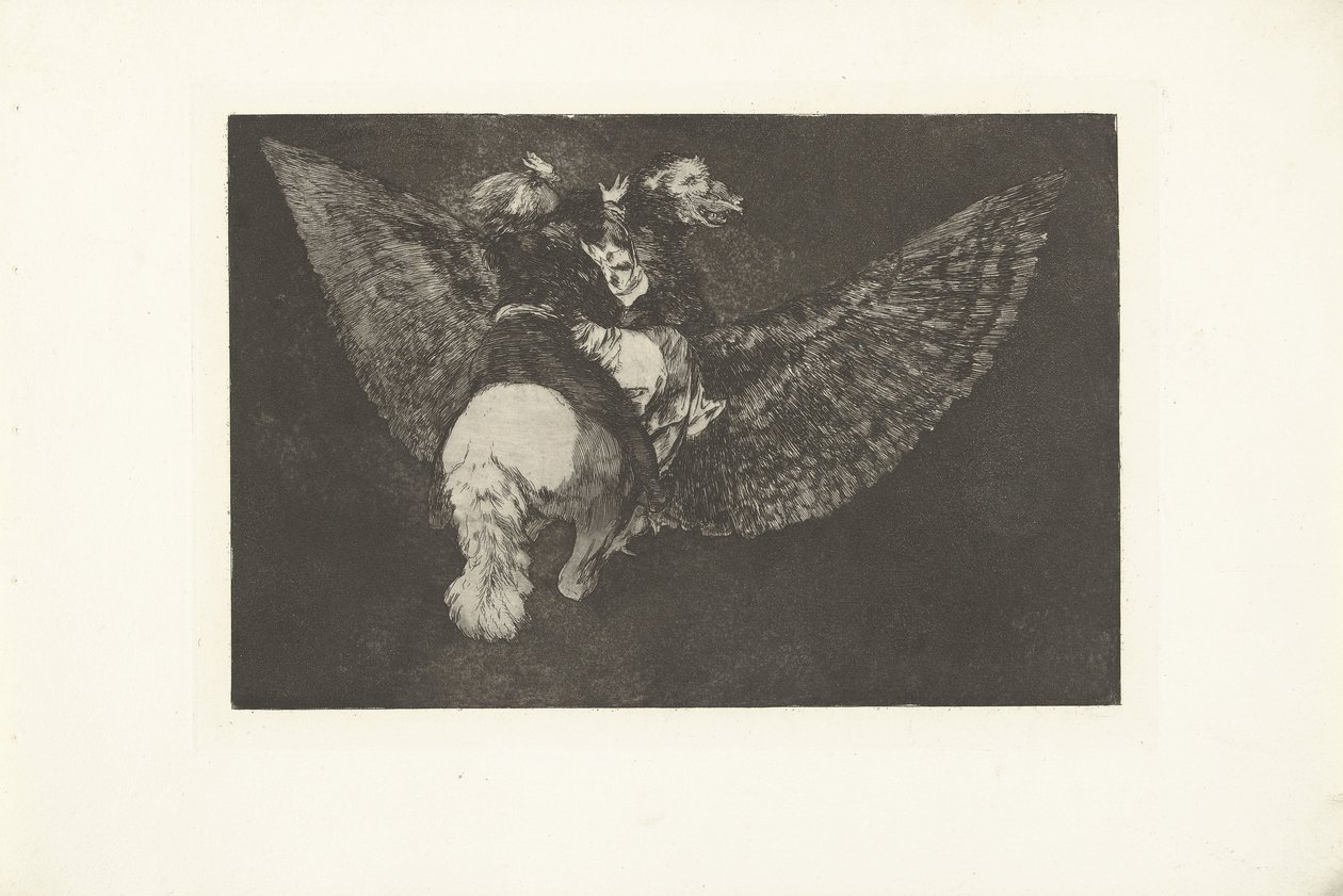 flyvende dårskap Ulik volante Los Disparates (The follies) (serietittel) Los Proverbios (Ordspråkene) (serietittel) av Francisco de Goya