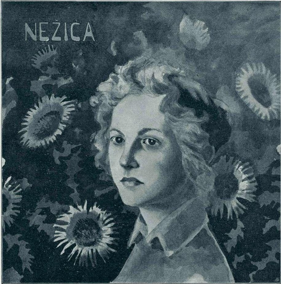 Nezican av Francisek Dobnikar