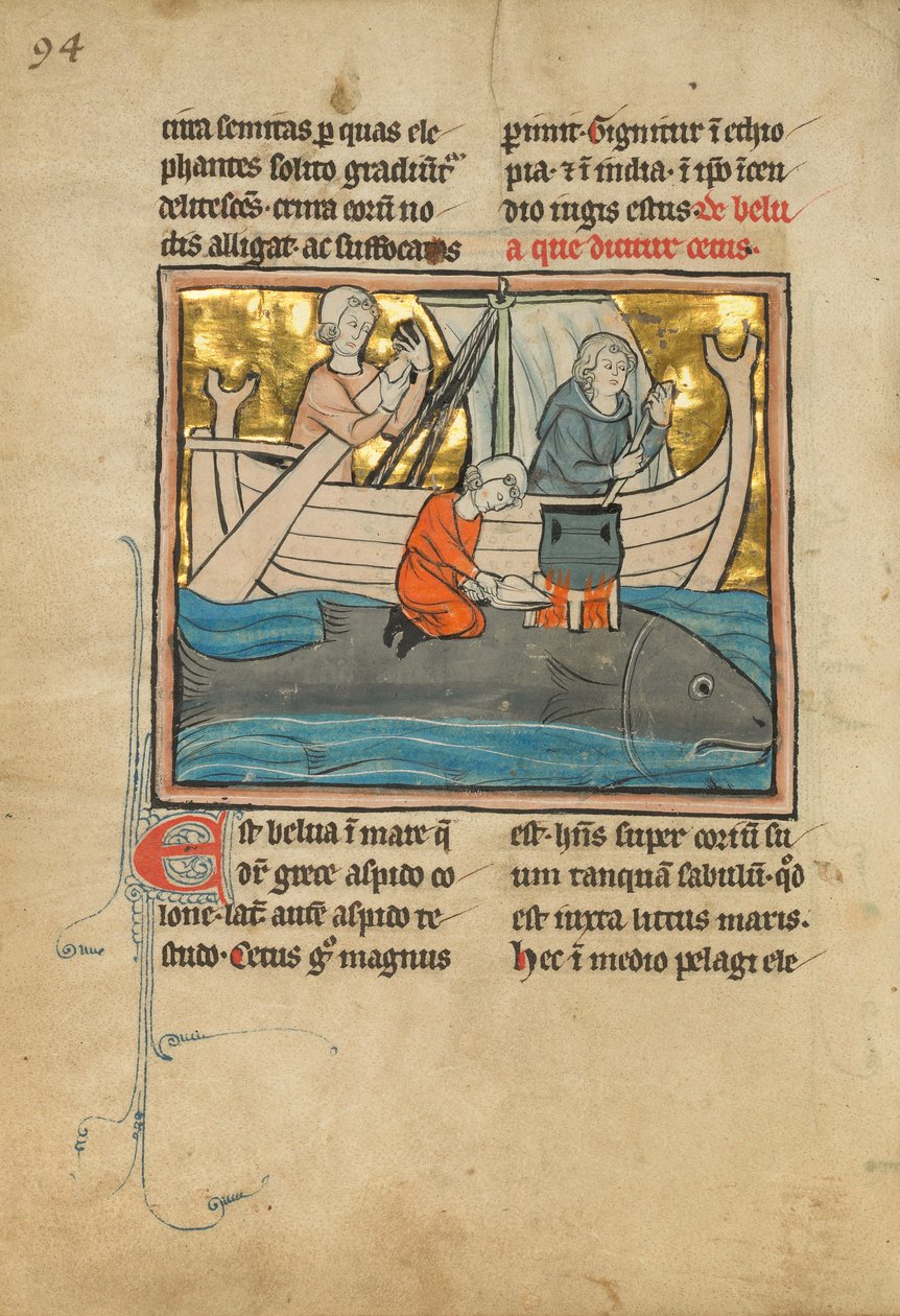 En fisker på baksiden av en hval, 1277 eller senere av Franco Flemish School