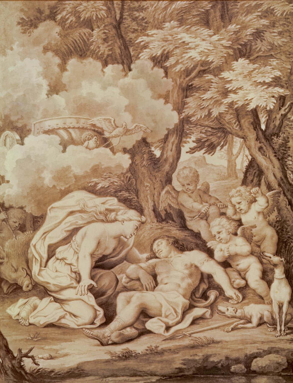 Venus Discovering Adonis, fra 