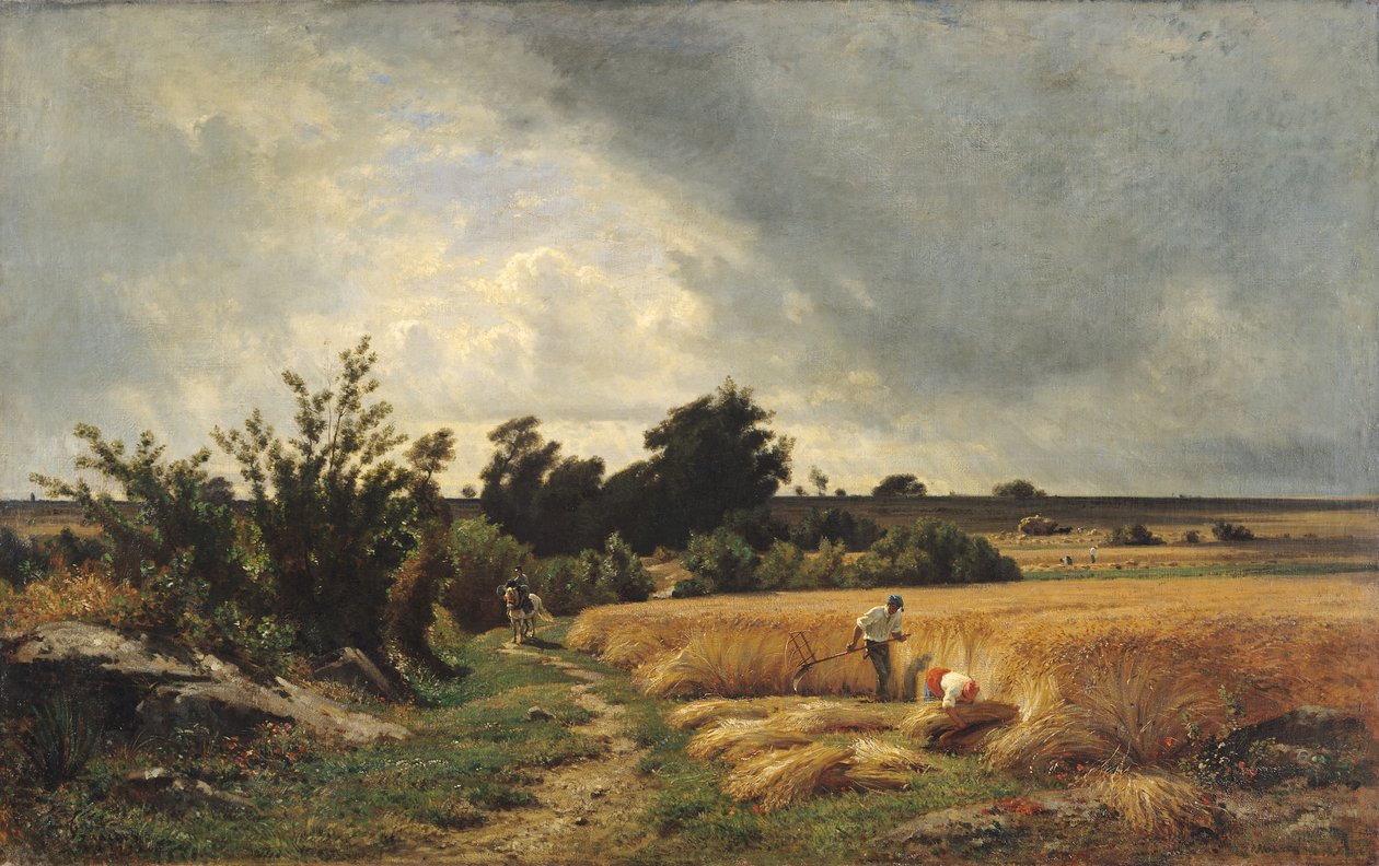 Platået til Ormesson - En vei gjennom kornet av Francois Louis Francais