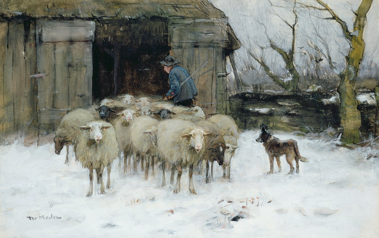 Sau på en vintermorgen av Francois Pieter ter Meulen