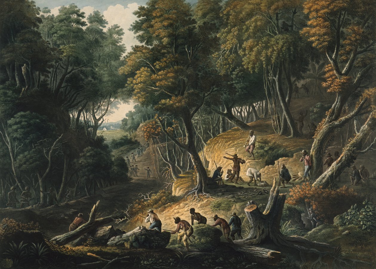 The Maroons i bakhold på Dromily Estate i Parish of Trelawney, Jamaica, pub. 1801 av Francois Joseph Bourgoin