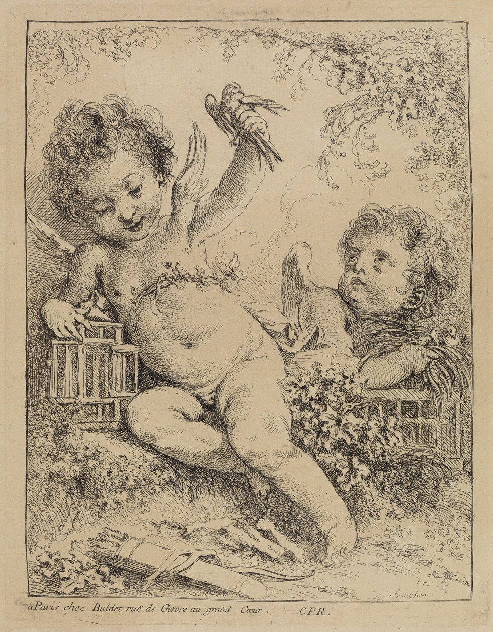 Turtelduen i buret av François Boucher