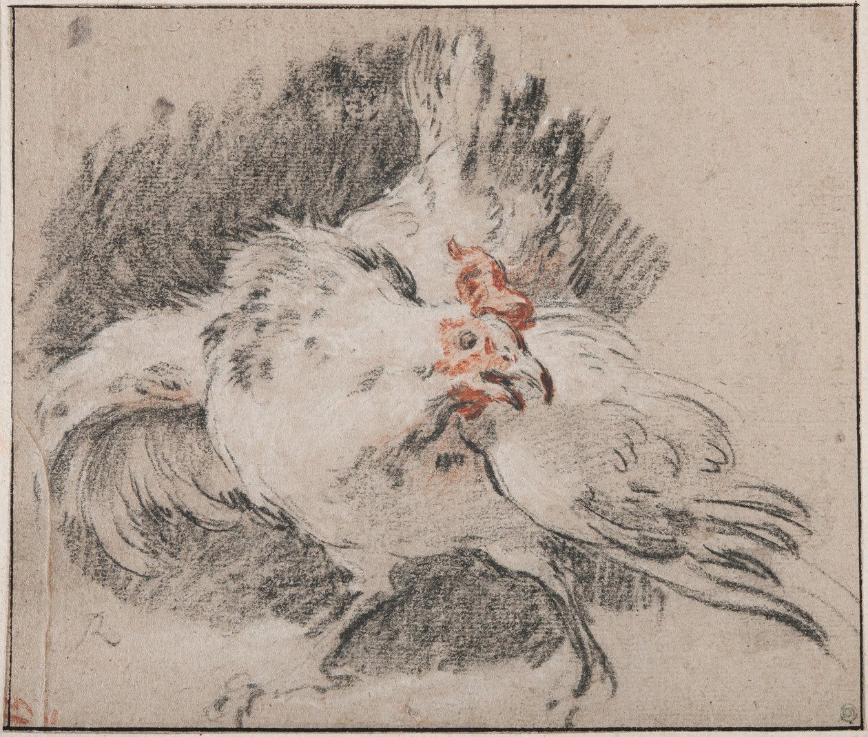 Studie av en hane av François Boucher