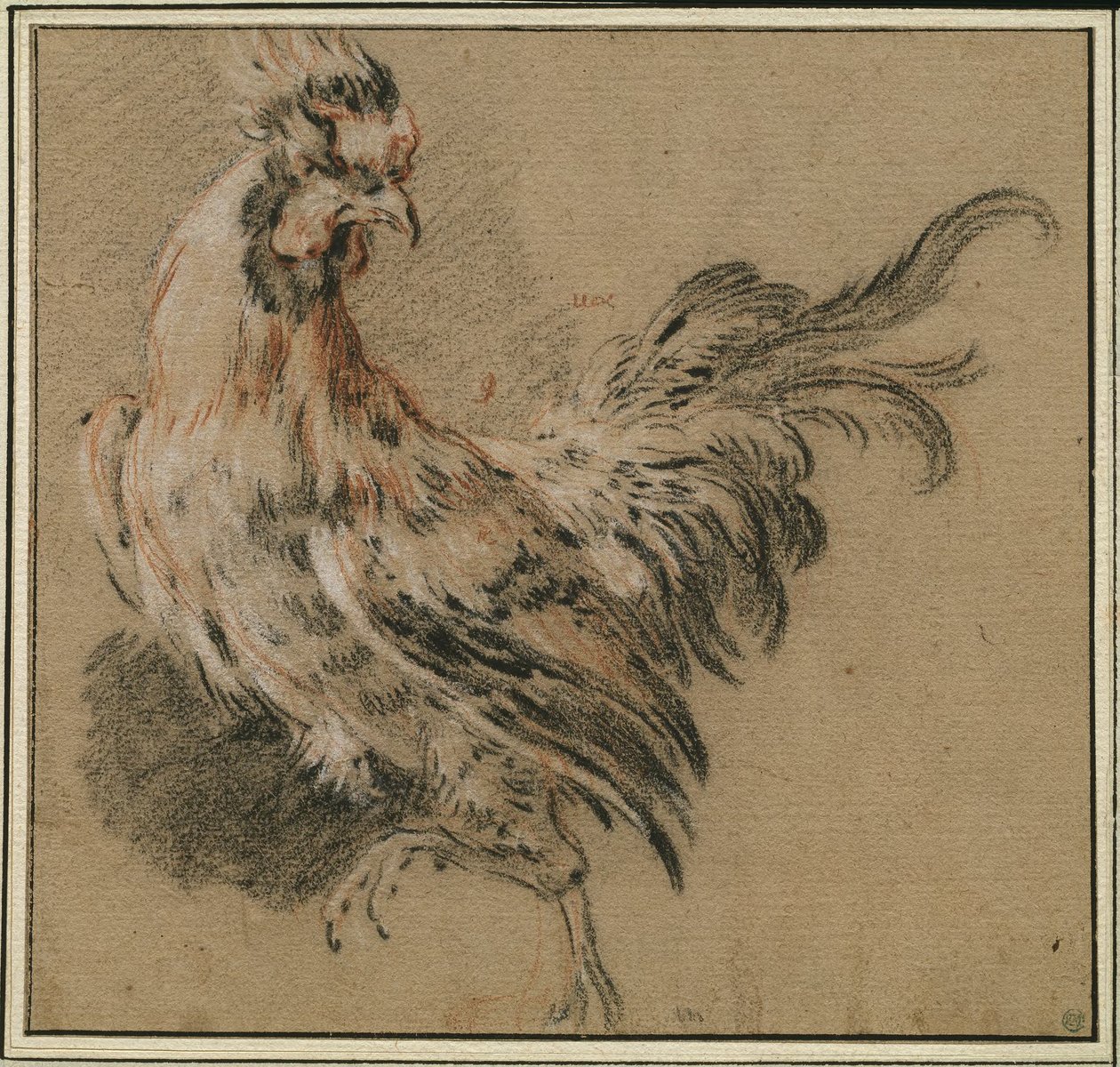 Studie av en hane av François Boucher