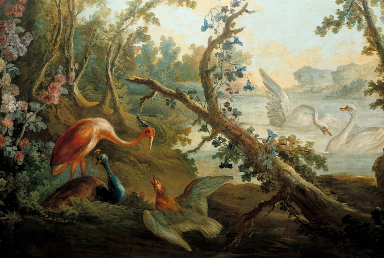 Svaner og påfugler Maleri av Francois Boucher (1703-1770) Paris fra 1700-tallet, Musee Carnavalet av François Boucher