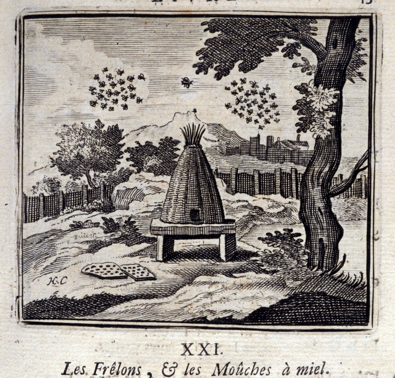 Hornets og honningfluer. Fabler av Jean de La Fontaine (1621-95). Illustrasjon av Francois Chauveau (1613-1676). Utgave av 1728. av Francois Chauveau