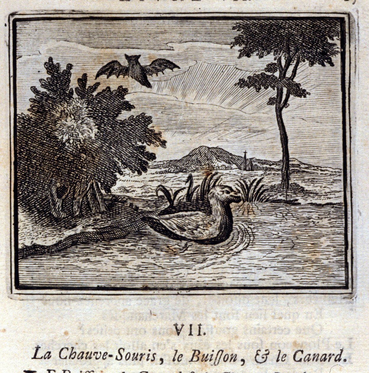 Flaggermusen, busken og anda. Fabler av Jean de La Fontaine (1621-95). Illustrasjon av François Chauveau (1613-1676). Utgave av 1728. av Francois Chauveau