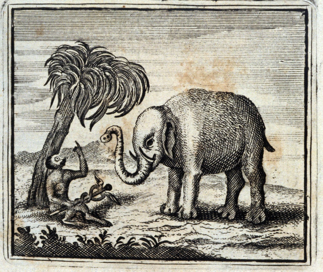 Elefanten og apen fra Jupiter. Fabler av Jean de La Fontaine (1621-95). Illustrasjon av François Chauveau (1613-1676). Utgave av 1728. av Francois Chauveau