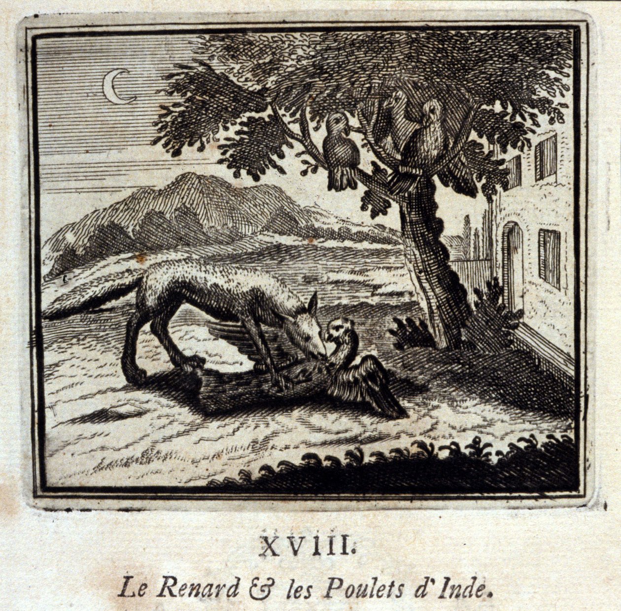The Fox and the Chickens of India. Fabler av Jean de La Fontaine (1621-95). Illustrasjon av François Chauveau (1613-1676). Utgave av 1728. av Francois Chauveau