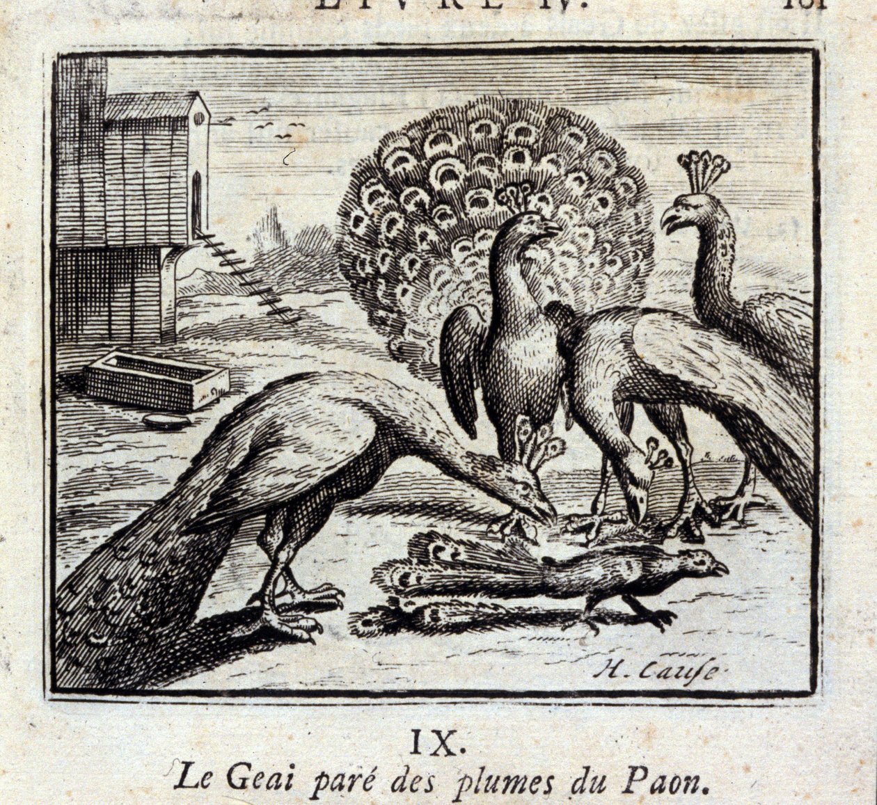 Jay pryder påfuglfjær. Fabler av Jean de La Fontaine (1621-95). Illustrasjon av François Chauveau (1613-1676). Utgave av 1728. av Francois Chauveau