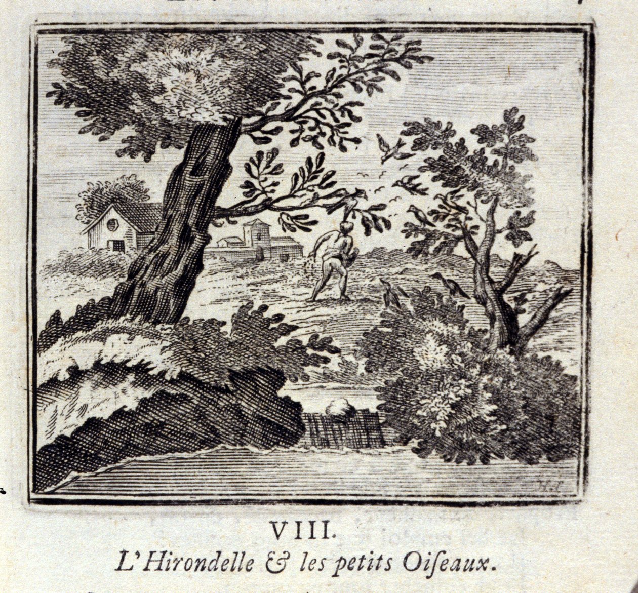 Svalen og småfuglene. Fabler av Jean de La Fontaine (1621-95). Illustrasjon av François Chauveau (1613-1676). Utgave av 1728. av Francois Chauveau