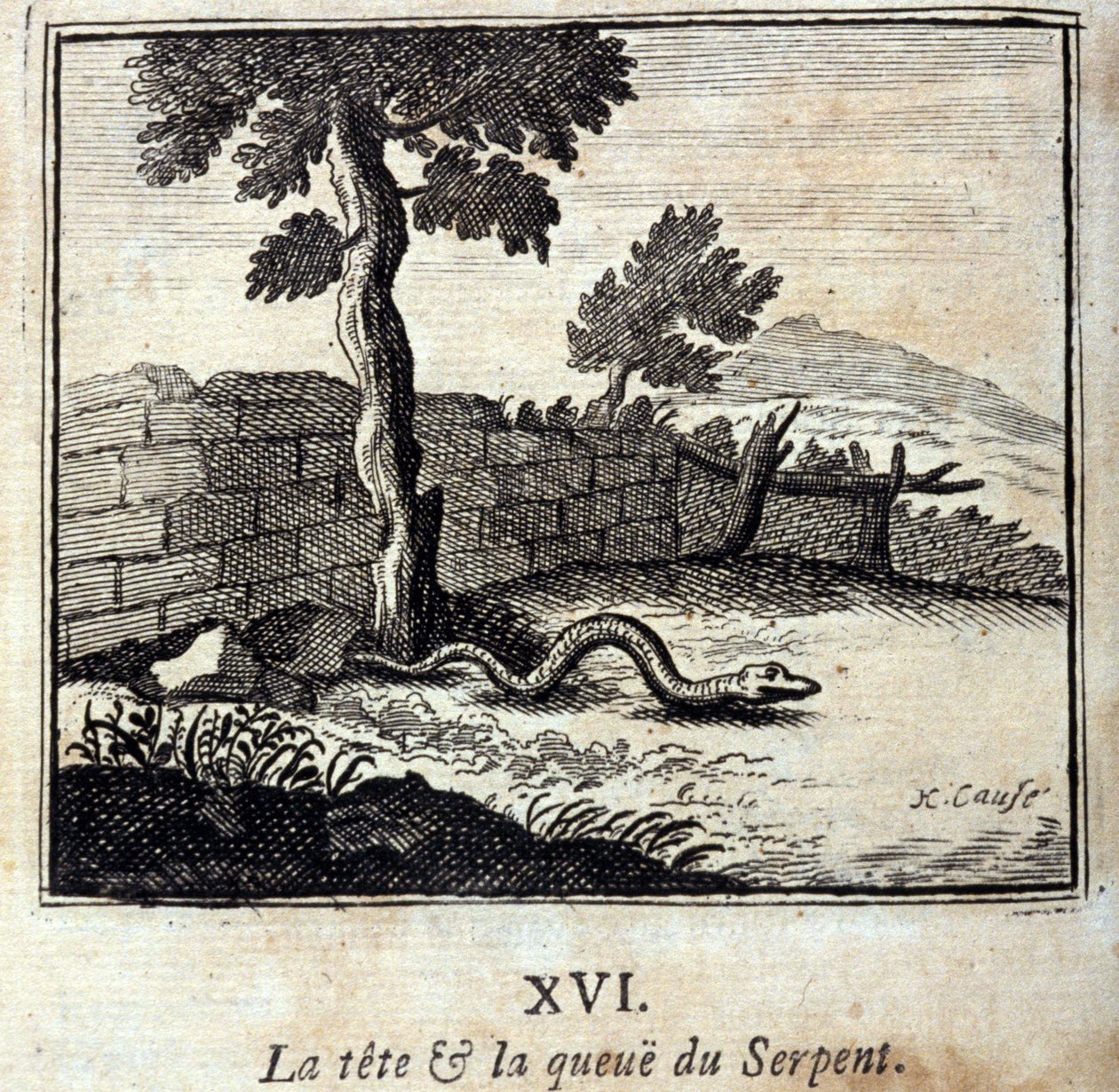 Hodet og halen til slangen. Fabler av Jean de La Fontaine (1621-95). Illustrasjon av François Chauveau (1613-1676). Utgave av 1728. av Francois Chauveau