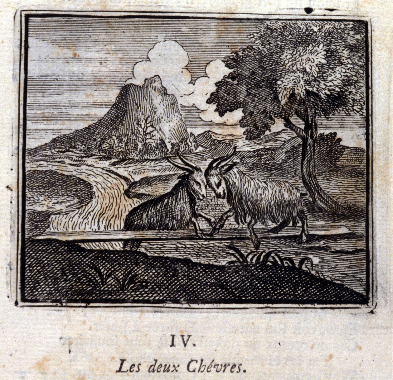 De to geitene. Fabler av Jean de La Fontaine (1621-95). Illustrasjon av François Chauveau (1613-1676). Utgave av 1728. av Francois Chauveau