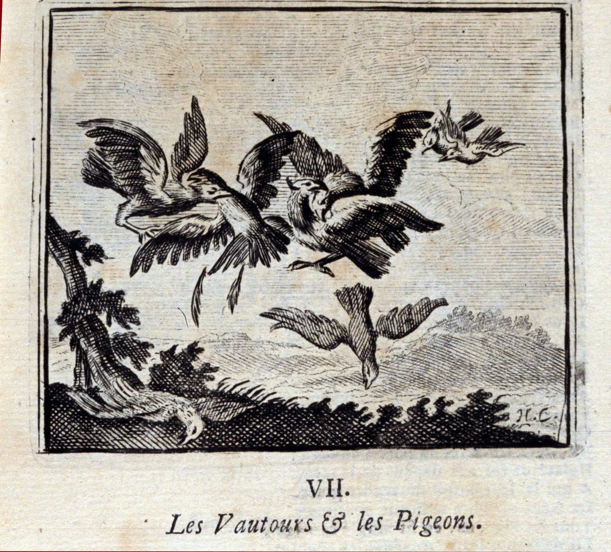Gribber og duer. Fabler av Jean de La Fontaine (1621-95). Illustrasjon av Francois Chauveau (1613-1676). Utgave av 1728. av Francois Chauveau
