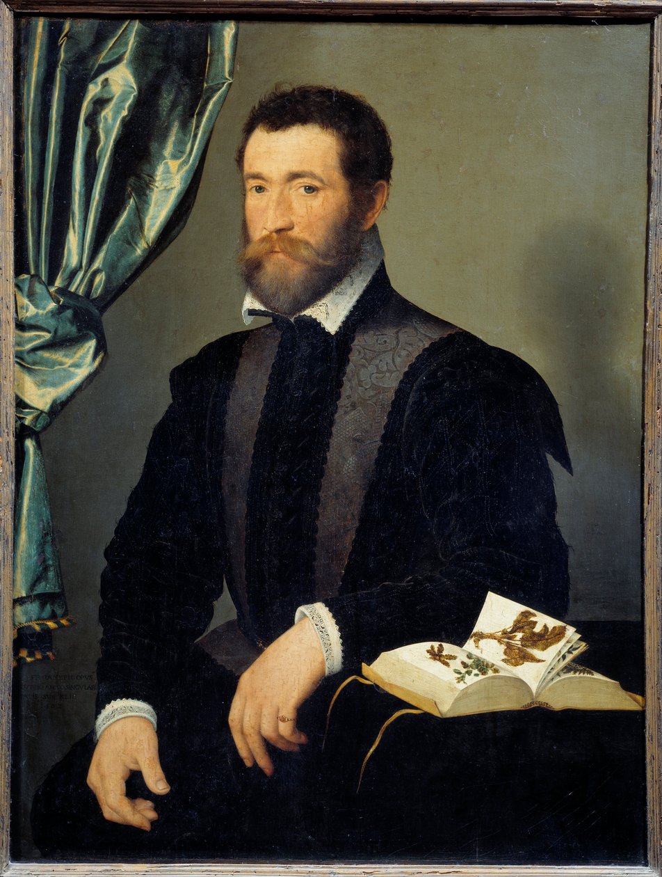 Portrett av apotekeren Pierre Quthe (1519-après 1588) Maleri av Francois Clouet (1515-1572) 1562 Søn. 0,91x0,7 m - Portrett av apotekeren Pierre Quthe (1519- ca1588). Maleri av Francois Clouet (1515-1572) av François Clouet