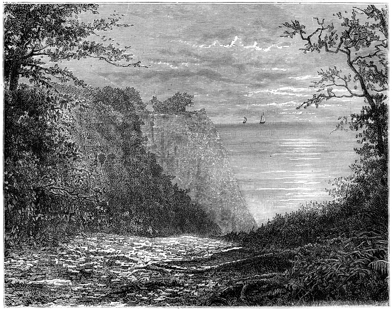 Kritklippene ved Königsstuhl, Rügen, Tyskland, 1800-tallet. av Francois Stroobant