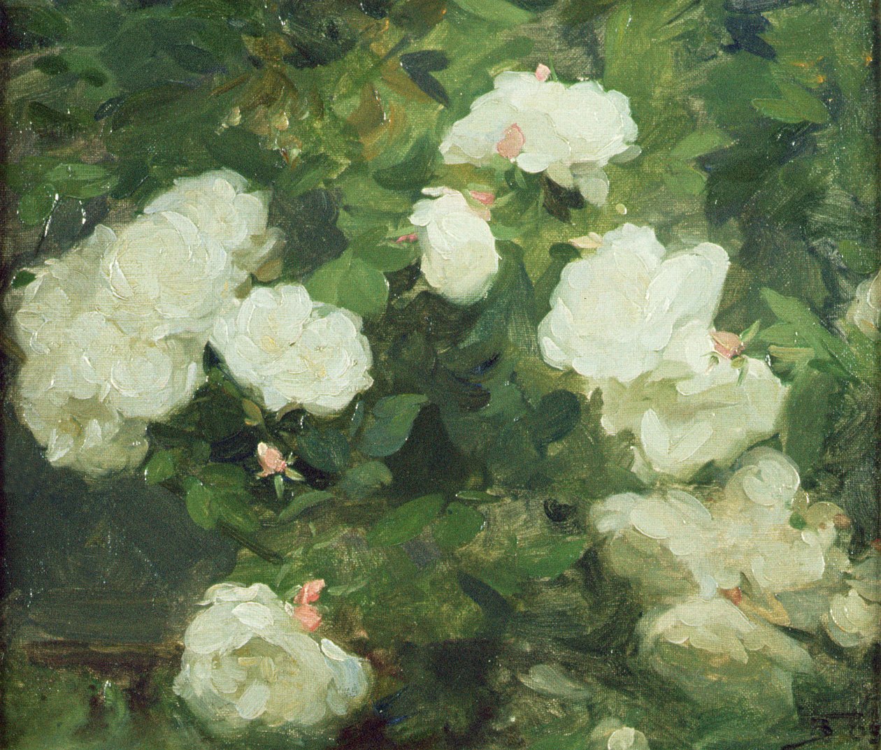 Hvite roser av Frank Bramley