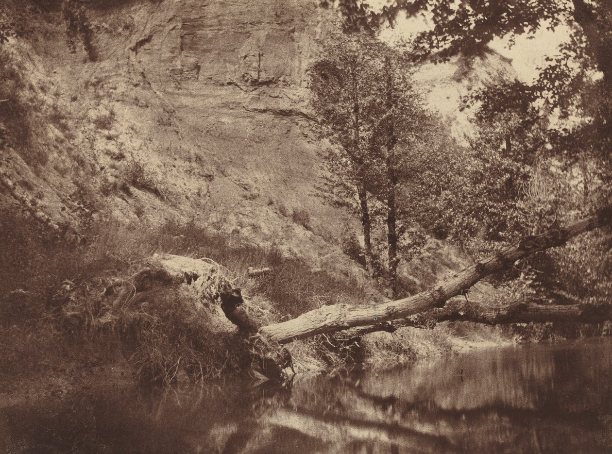 Elvebredden, ca. 1855. av Frank Chauvassaigne