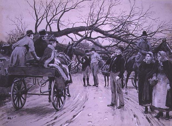 Det falne treet av Frank Dadd