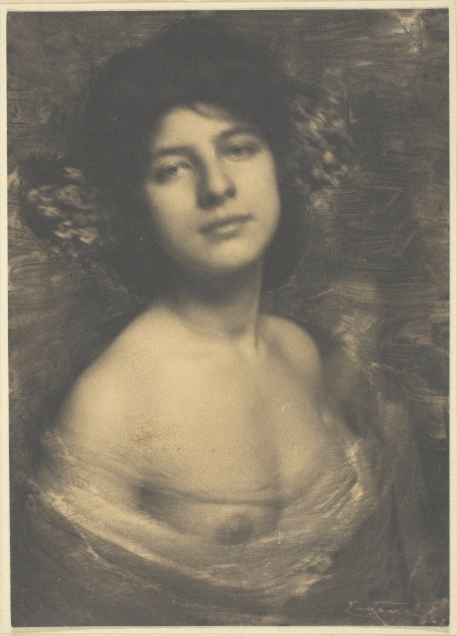 Hortensia av Frank Eugene