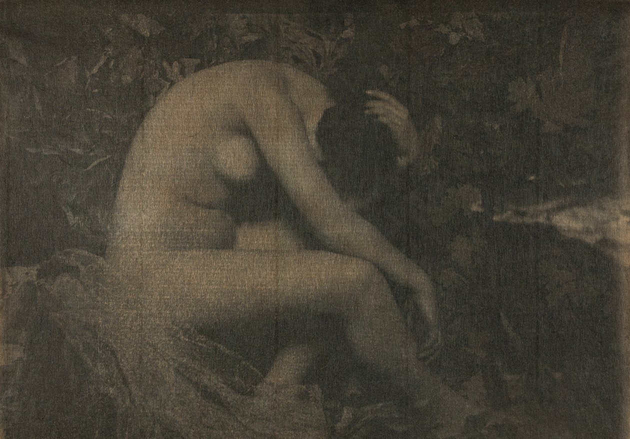 Sikaden, 1898. av Frank Eugene