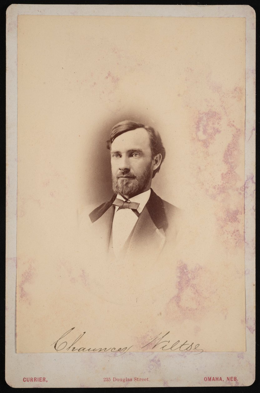 Portrett av Chauncey Wiltse 1834-1894, 1875-1876. av Frank F Currier