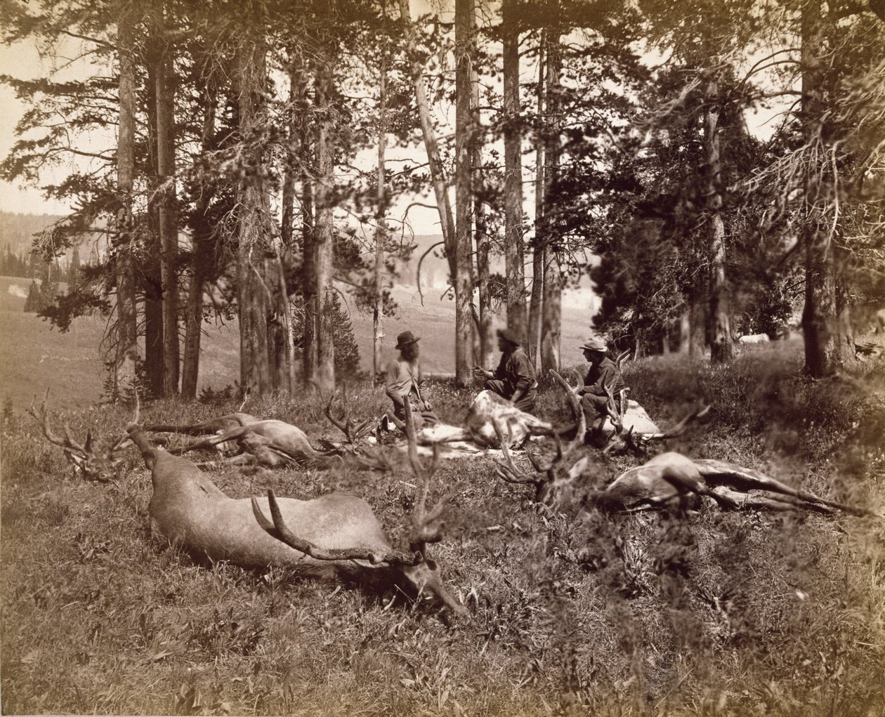Elk Hunters, Yellowstone, ca. 1880 (albumin sølvtrykk) av Frank Jay Haynes