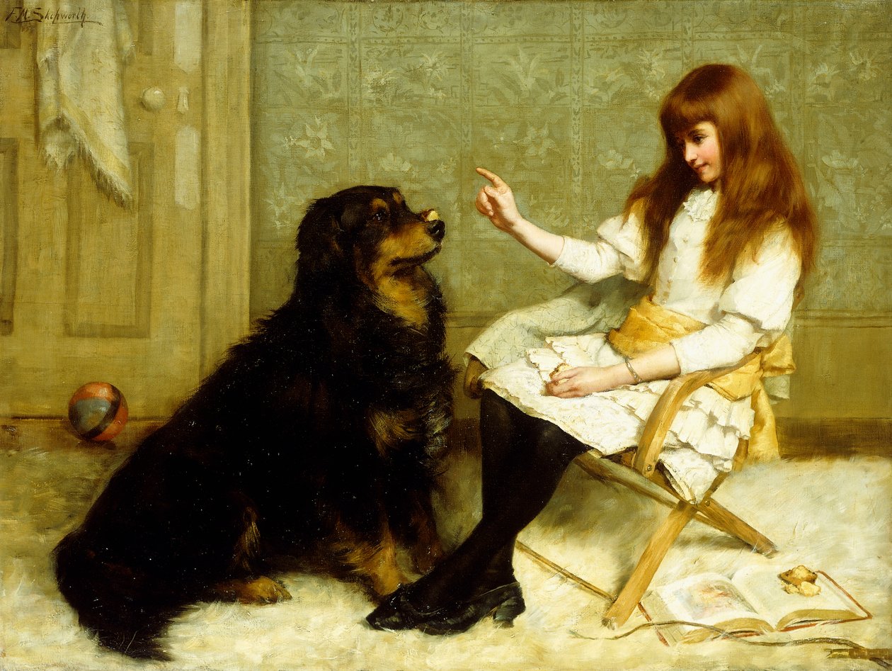 Leksjonen av Frank Markham Skipworth