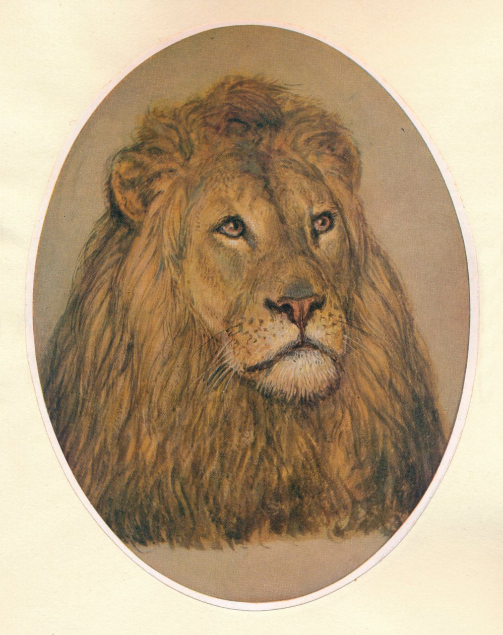 Lions Head, c1896 av Frank Paton