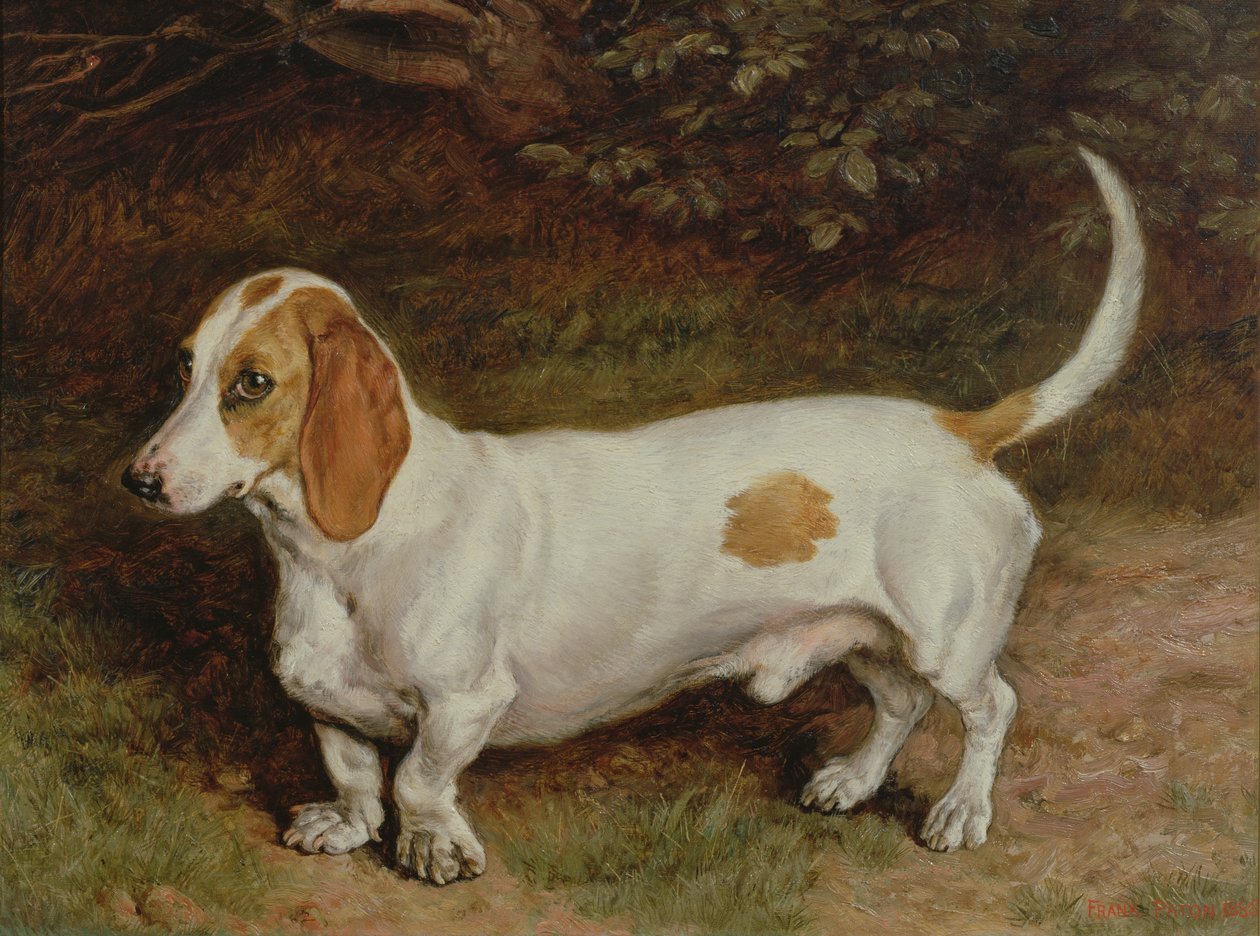 Min favorittdachs, 1885 av Frank Paton