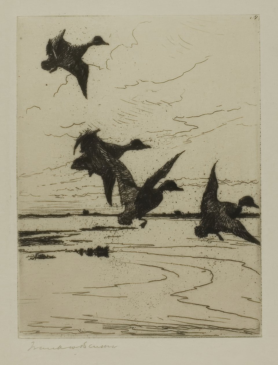 Landing enten av Frank Weston Benson