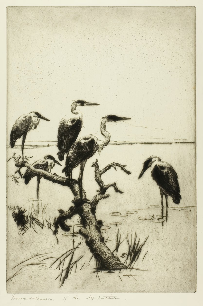 hvile hegre av Frank Weston Benson