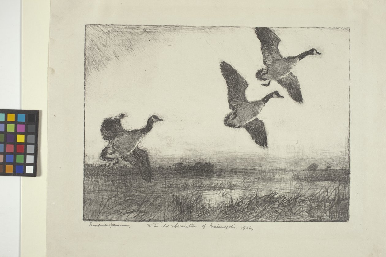 Tre gjess (blekk på papir) av Frank Weston Benson