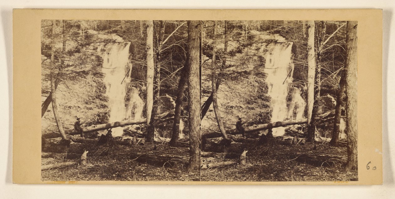  av Franklin Benjamin Gage