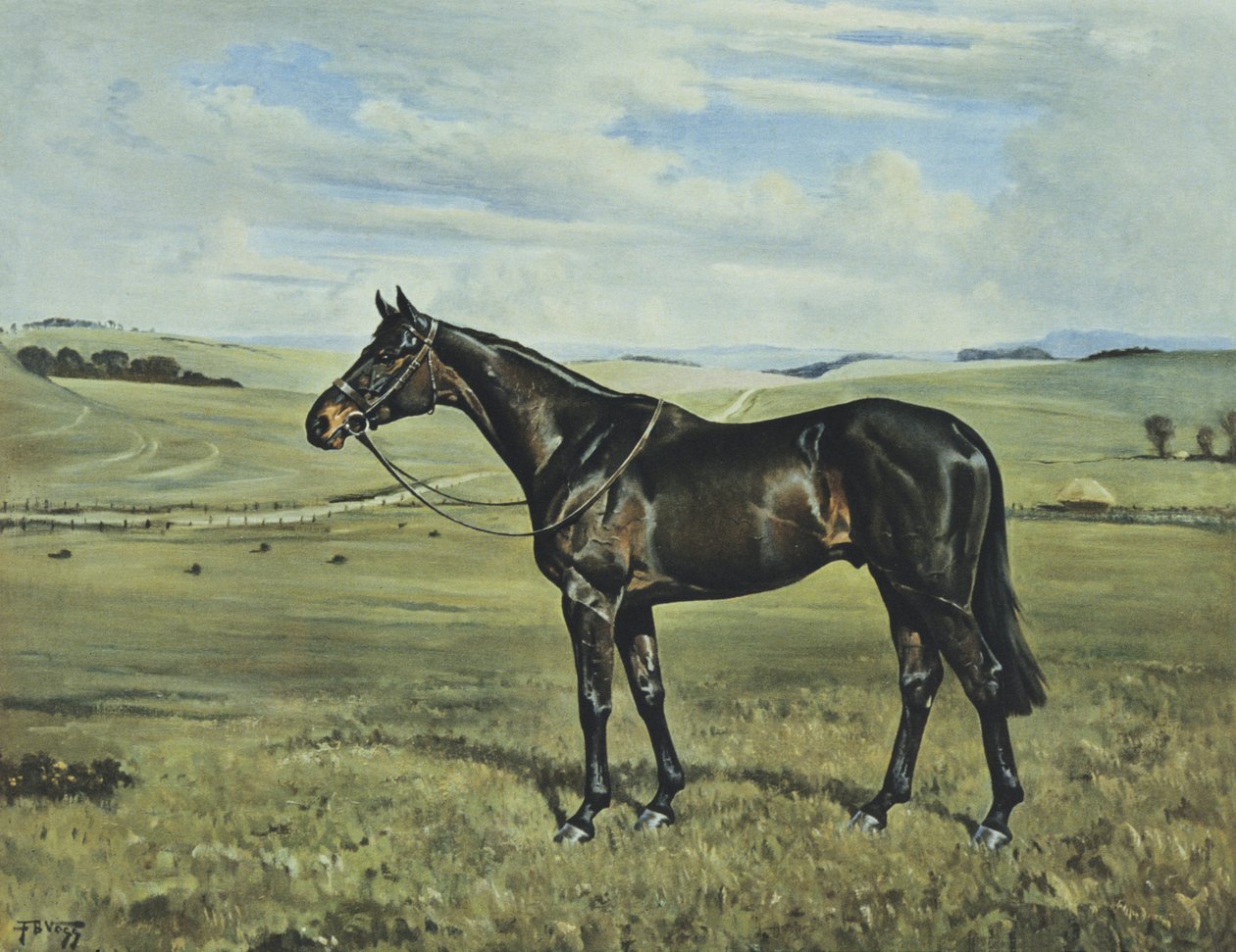  av Franklin Brooke Voss
