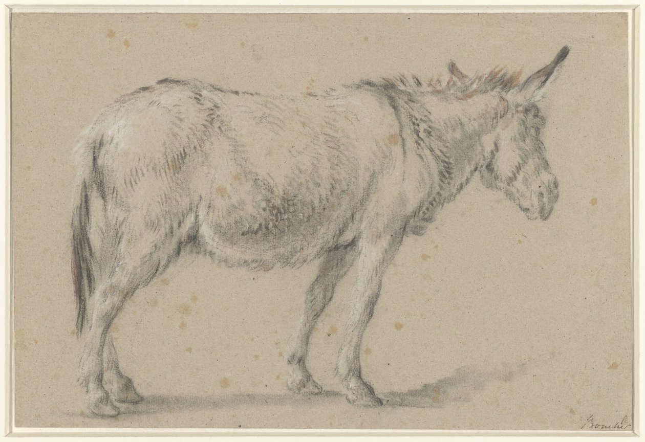 Stående esel, vendt mot høyre av François Boucher (possibly)