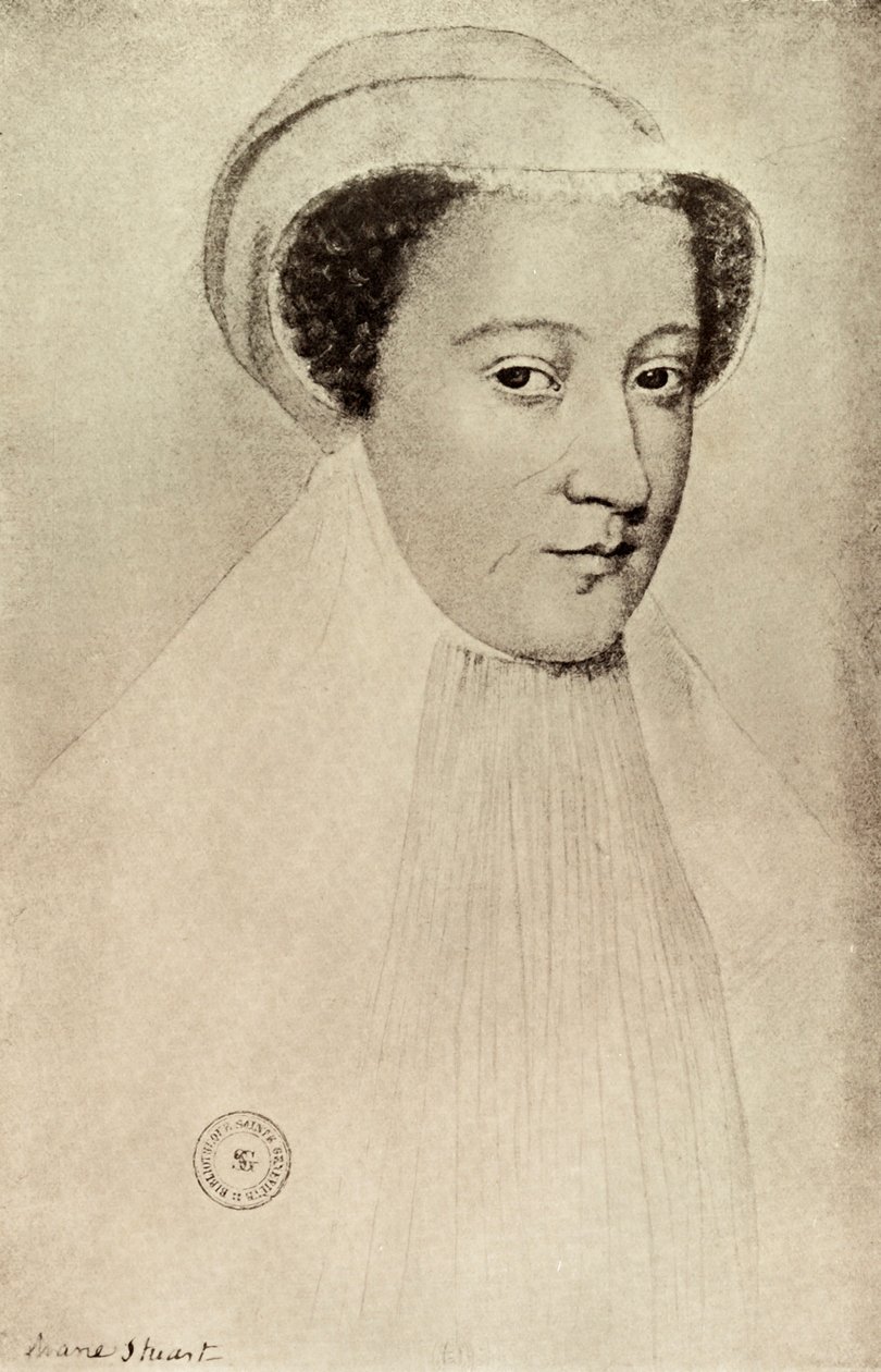 Mary Queen of Scots, 1909 av François Clouet