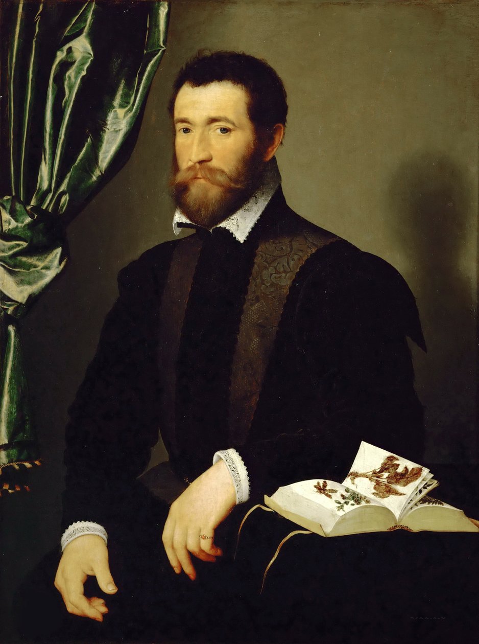 Portrett av Pierre Quthe, apotek, 1562. av François Clouet
