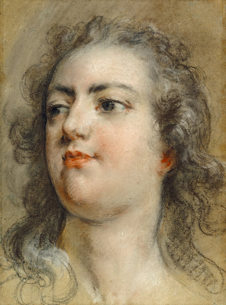  av François Le Moyne