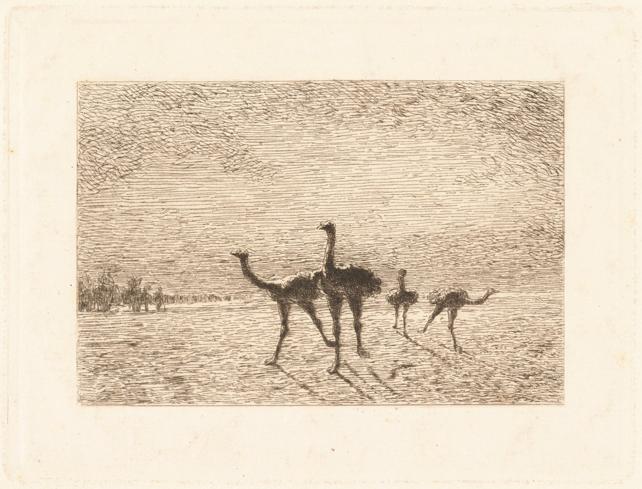 Strutser i ørkenen av François Nicolas Auguste Feyen Perrin