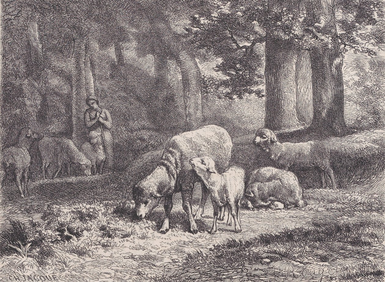 Sauen, fra Magasin Pittoresque, 1862. av François Rouget