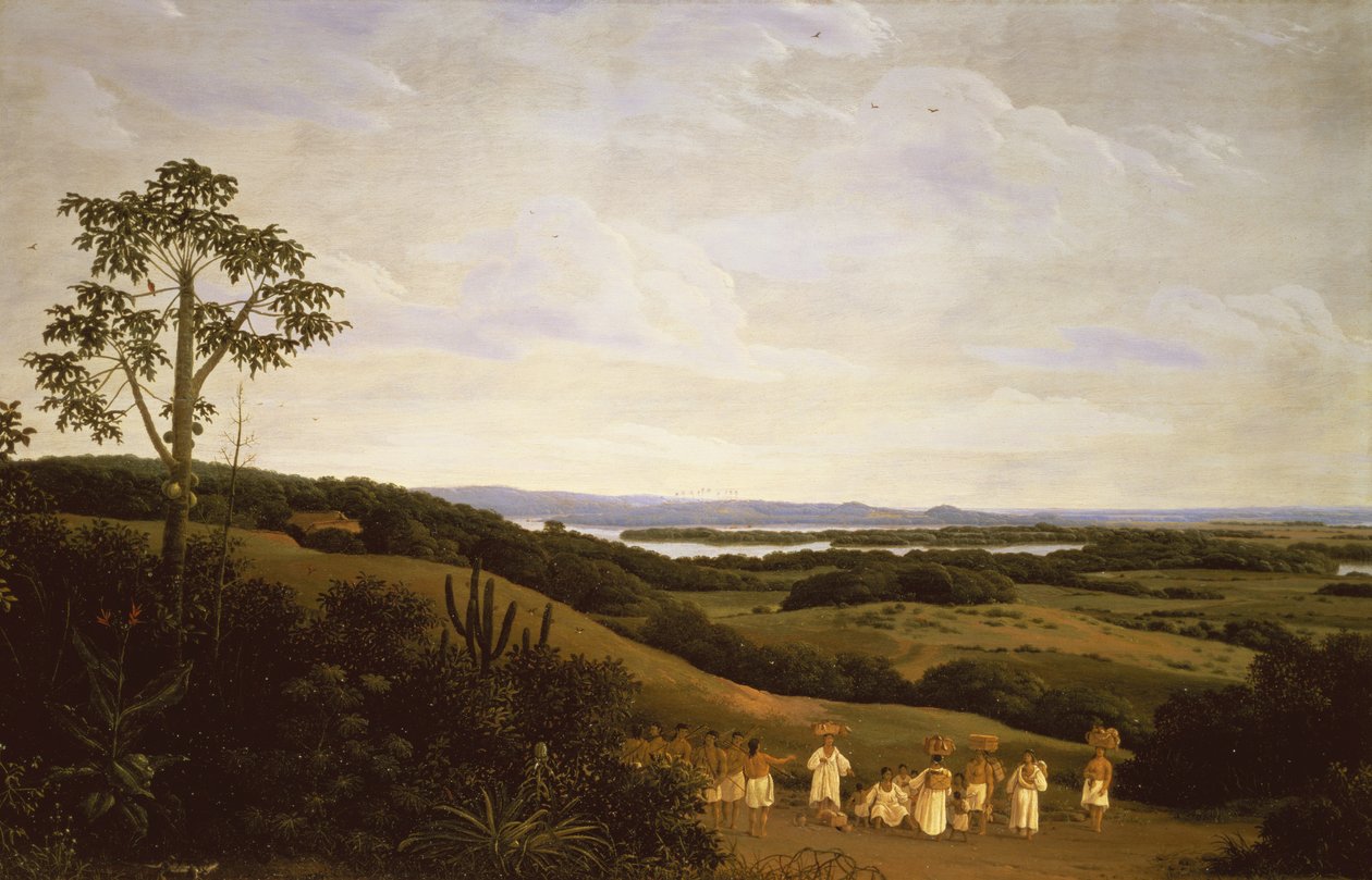 Panoramautsikt i Brasil med en elv i det fjerne (par 61465) av Frans Post