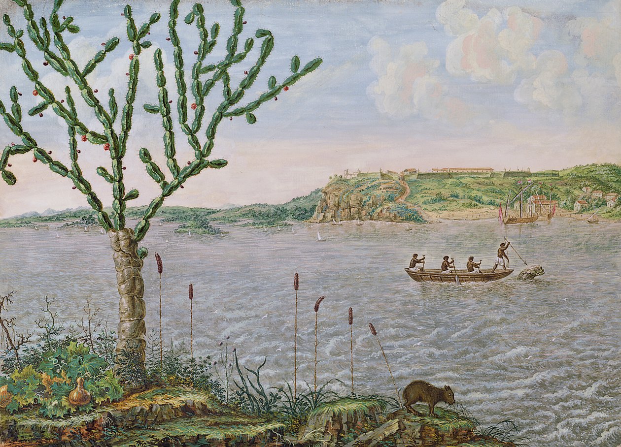 Utsikt over Fort Maurice på Rio San Francisco (penn og blekk og wc på papir) av Frans Post