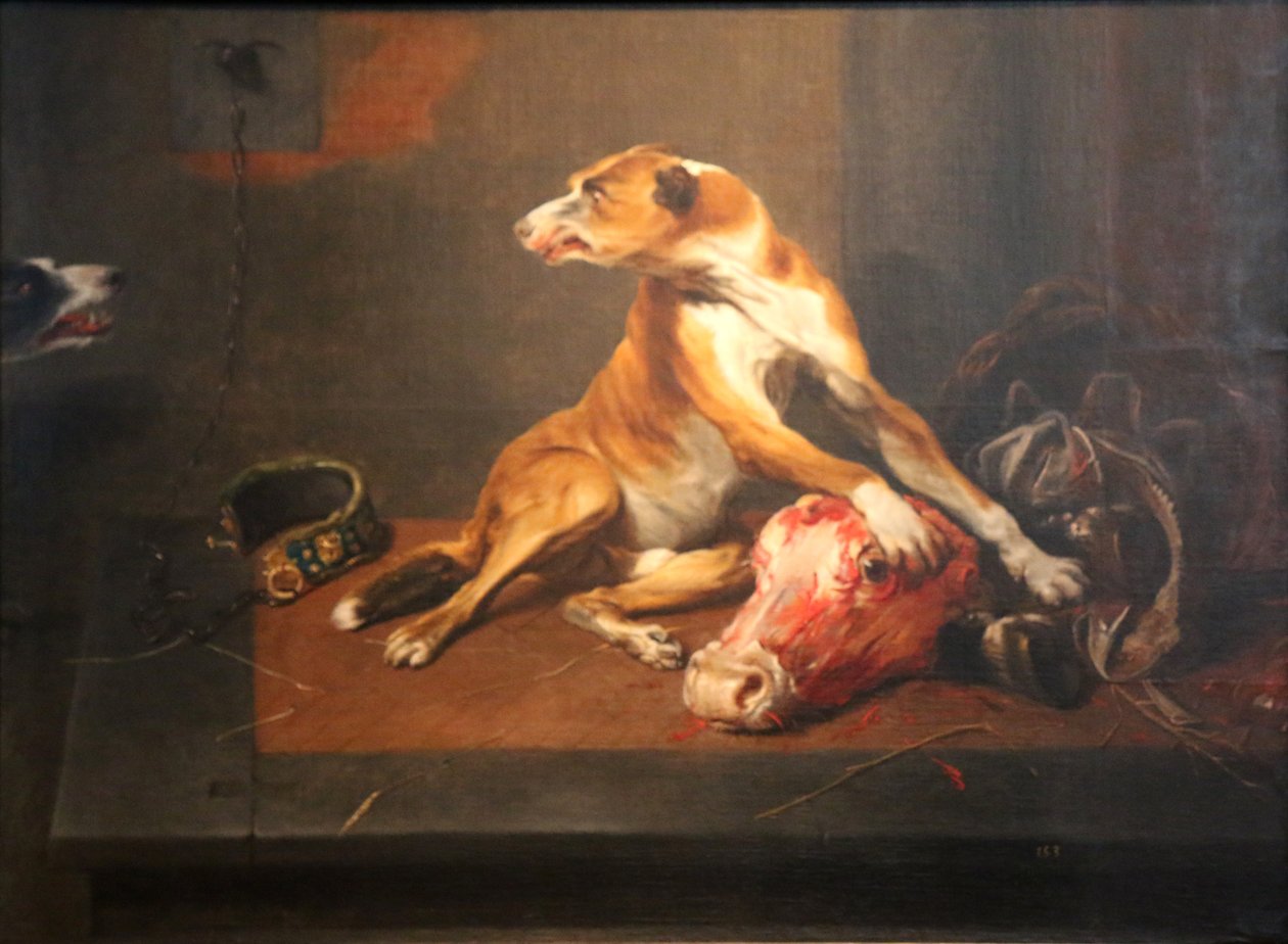 To hunder i et spiskammer av Frans Snyders or Snijders