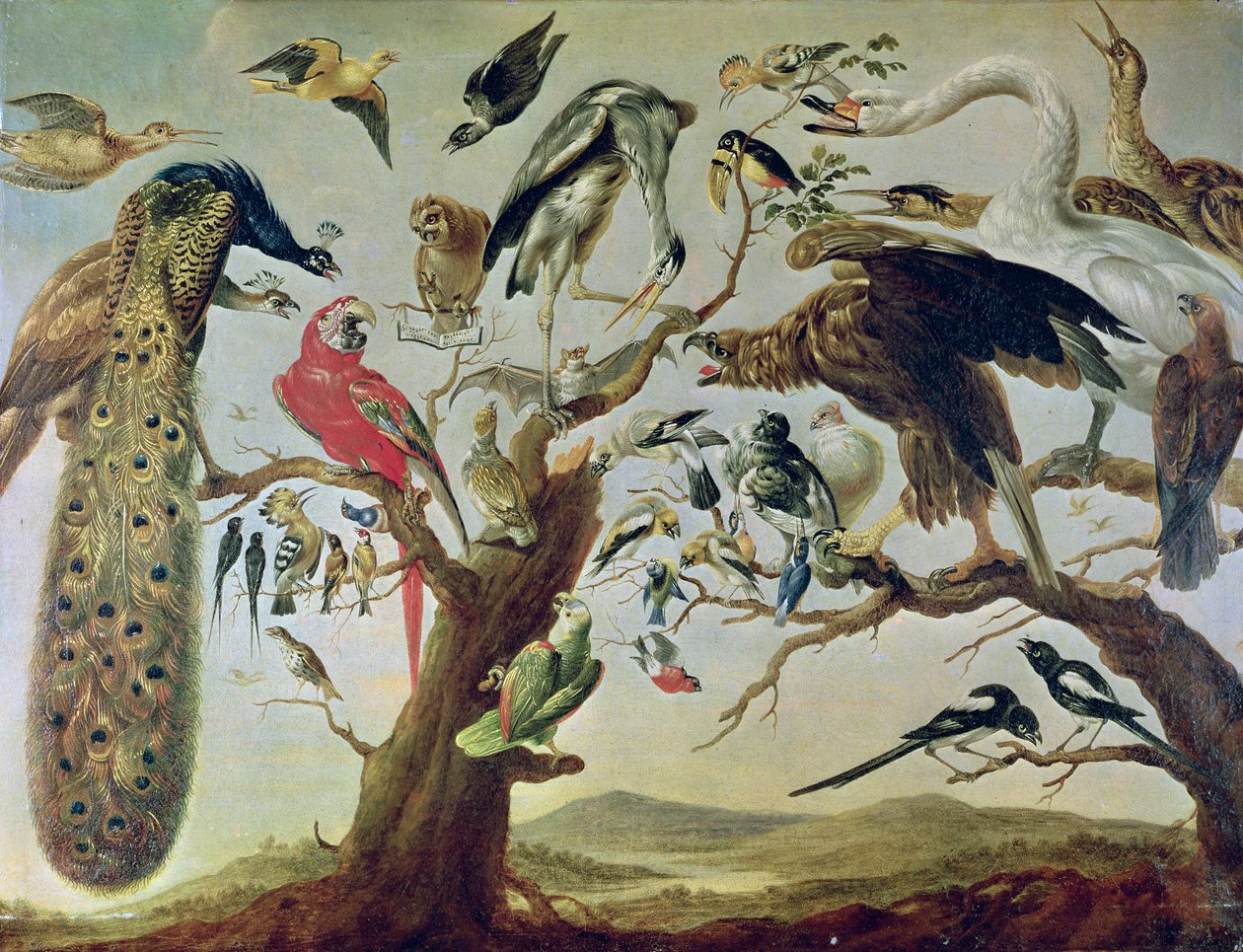 Fuglens konsert av Frans Snyders or Snijders