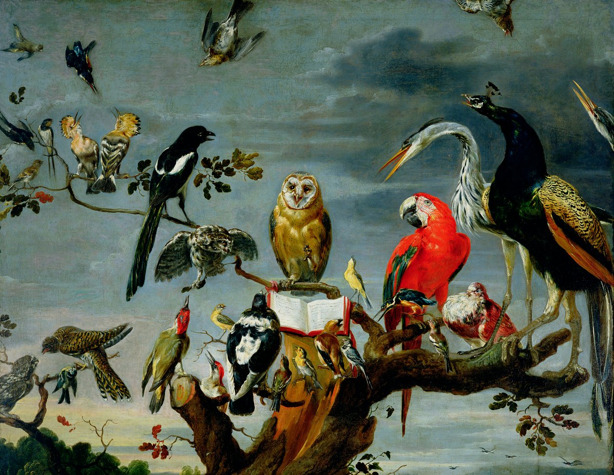 Konsert av fugler av Frans Snyders or Snijders
