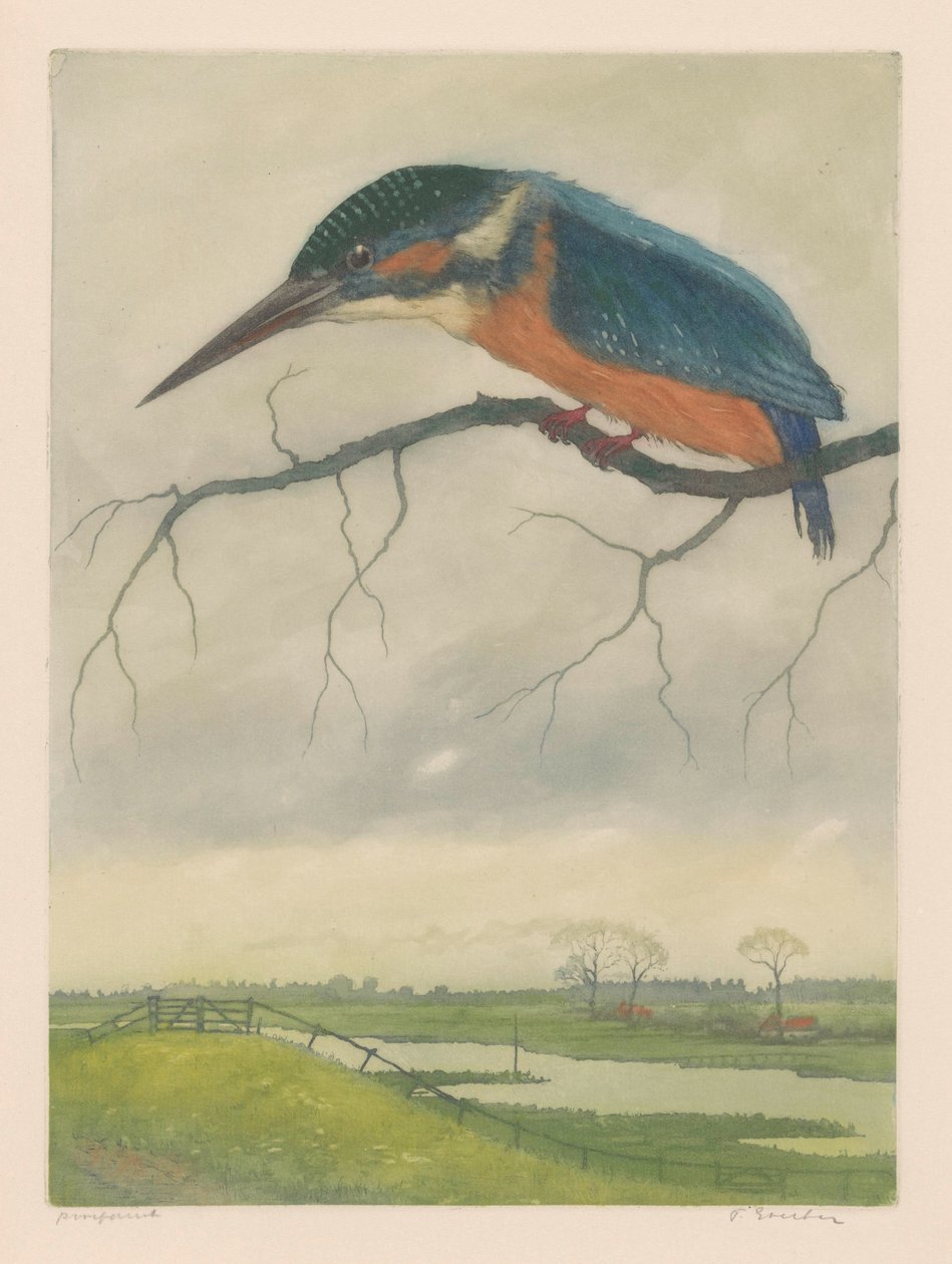 Kingfisher på en gren i et englandskap av Frans Everbag (signed by artist)
